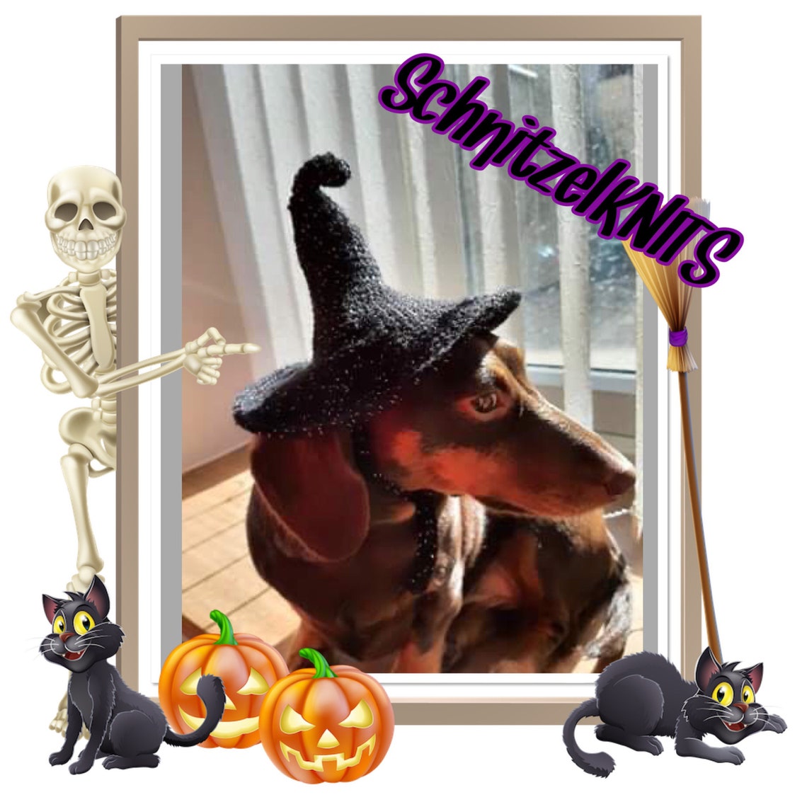 Witch/wizard hat for dog. Wizard school hat. Dachshund hat. Etsy