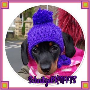 Dog bobble hat with ear holes. Puppy hat. Dog beanie hat.dachshund clothes, pet clothes. Dog hat.Puppy clothes. Cat hat.dog clothes