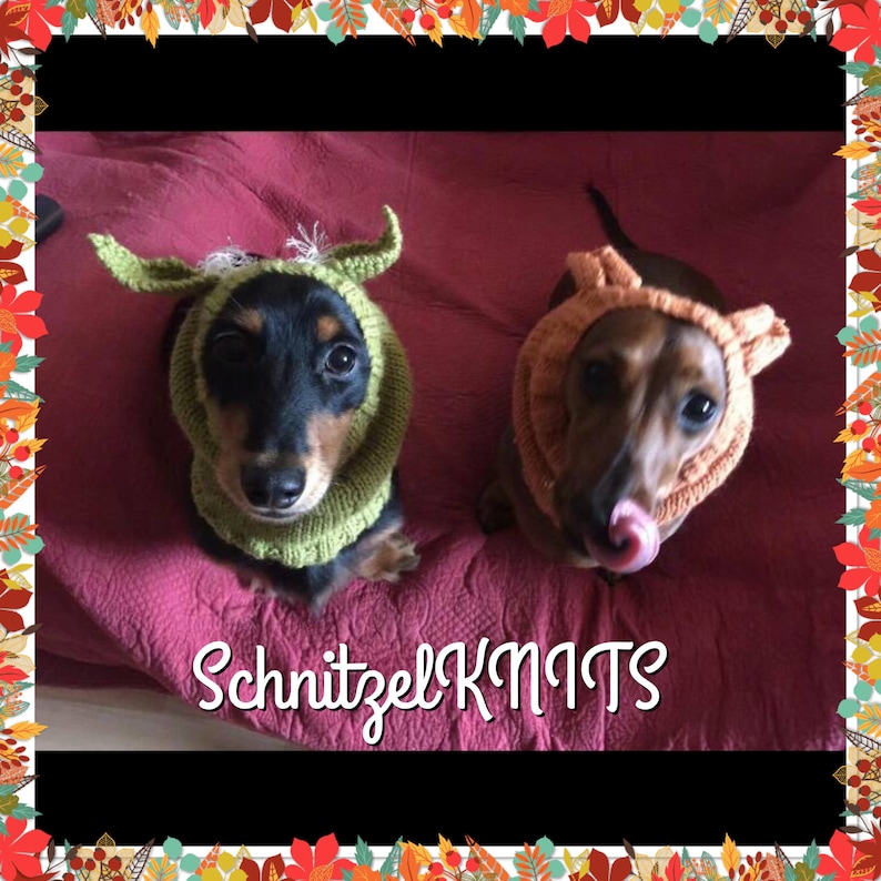snood hood warm winter hat snood hood Yoda inspired dog snoodhood hat Dog fancy dress hat .star wars inspired dog hat