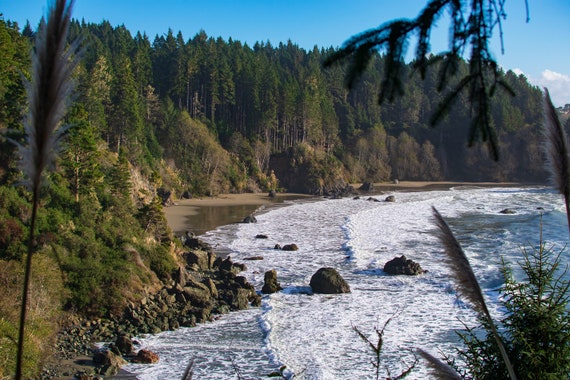 The Redwood Curtain Etsy