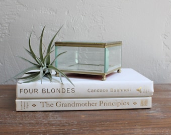 Vintage Glass Brass Box, Glass Terrarium, Glass Jewelry Box, Curio Box, Succulent Terrarium, Stain Glass Box, Air Plant Holder Geometric Box