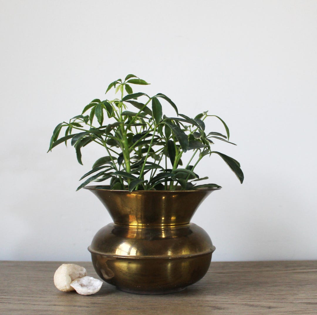 Vintage Brass Planter, Brass Plant Pot, Brass Spittoon Solid Brass — free download