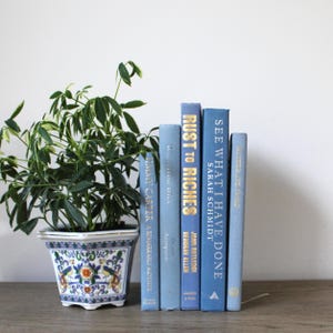 May include: A decorative ceramic planter with a blue and white floral design holds a green plant. To the right, a row of blue books with gold lettering, including "Rust to Riches" and "See What I Have Done", are displayed on a wooden surface.