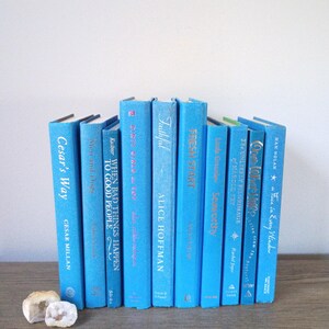 May include: A collection of blue hardcover books with gold lettering, including titles like "Cesar's Way" and "Faithful." The books are arranged in a row, with two small, light-colored stones in front.