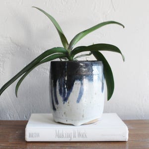 May include: A green plant with long leaves in a white ceramic pot with blue and black glaze. The pot is sitting on a white book with the title "Making It Work" on the cover.