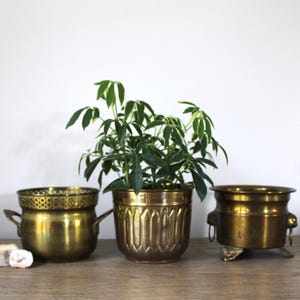 Choose Vintage Footed Brass Planter, Brass Plant Pot, Plant Holder, Indoor Planter, Decorative Planter Round, Embossed Planter, Cache Pot
