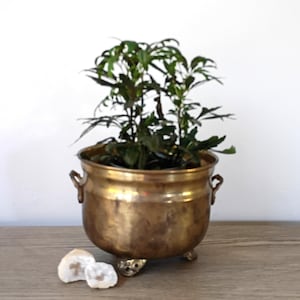 Vintage Brass Footed Planter Bowl, Cache Plant Pot, Patina Home Decor