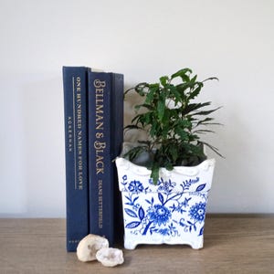 May include: A square white ceramic planter featuring a blue floral pattern, containing a small green leafy plant. Next to the planter are two dark blue hardcover books titled One Hundred Names for Love and Bellman & Black, with two small geode rocks.