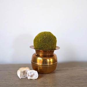 May include: A small, antique brass pot with a wide, flat rim, holding a round, green moss ball. Two small, white, rough-textured stones sit beside the pot on a wooden surface. The pot has a shiny, reflective surface.