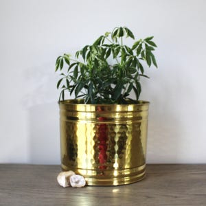 May include: A gold-colored, hammered metal planter pot with a green plant inside. The pot has a cylindrical shape with horizontal bands. Two small, light-colored stones sit at the base of the pot on a wooden surface.