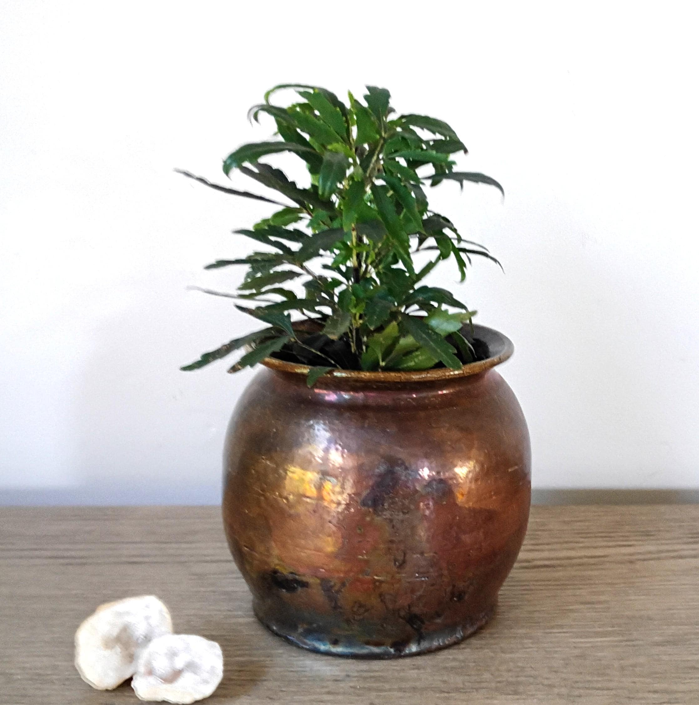 らくだ花器 Raku Planter Pot - Etsy