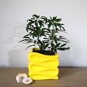 May include: A bright yellow ceramic planter with a wavy, tiered exterior design containing a green leafy plant. Next to the planter are two small, light-colored, rough-textured geode stones with visible crystalline interiors.