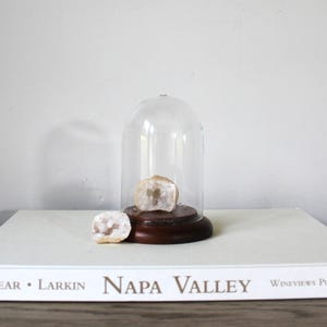 Vintage Glass Cloche, Glass Dome, Glass Terrarium, Tall Cloche, Glass Display Dome, Succulent Terrarium, Glass Bell Jar, Air Plant Holder