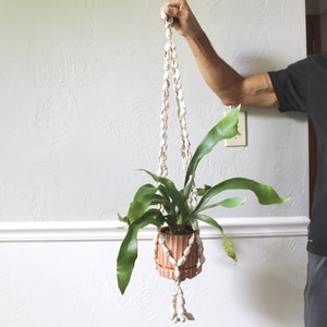 Vintage Hanging Seashell Plant Holder, Shell Plant Hanger, Boho Plant Pot Holder, Boho Decor, Beach Home Decor, Gift for Plant Lover