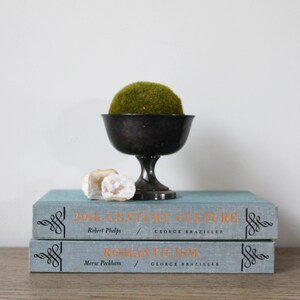 May include: Two blue hardcover books with white text on the spine. The top book says "20th CENTURY CULTURE" with the author's name "Robert Phelps" and the publisher "GEORGE BRAZILLER". The bottom book says "ROMANTICISM" with the author's name "Morse Peckham" and the publisher "GEORGE BRAZILLER".