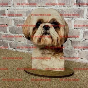 Shih Tzu, Shih Tzu mannequin, Shih Tzu Dog Display,Shih Tzu Dog accessory display, ShihTzu, Dog Bandana Display