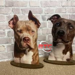 Pitbull Display, Pit Bull Display, Pitbull head display, Dog Display,Dog Bandana Display, Pit Bull accessories, Pitbull accessories