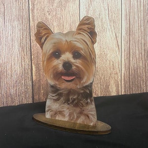 Yorkie,Yorkshire Terrier, Yorkie Display,Yorkie Mannequin, Yorkie head display, Dog Collar Display,Dog accessory display,Dog Bandana Display