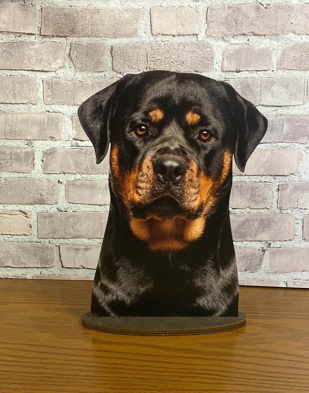 Professionally made in the USA! Our Large Sitting Dog Display Mannequin is  first made from a hard, durable foam an…