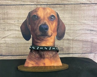 face Towels Hair Bands Pirate Hats Dachshund Pet Black And Tan Coat Doxie Dog Variety Head Scarf Korn Scarves veils Wristbands Masks Riding Masks