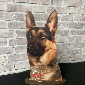 German Shepherd, German Shepherd Display, Dog Display, German Shepherd Mannequin