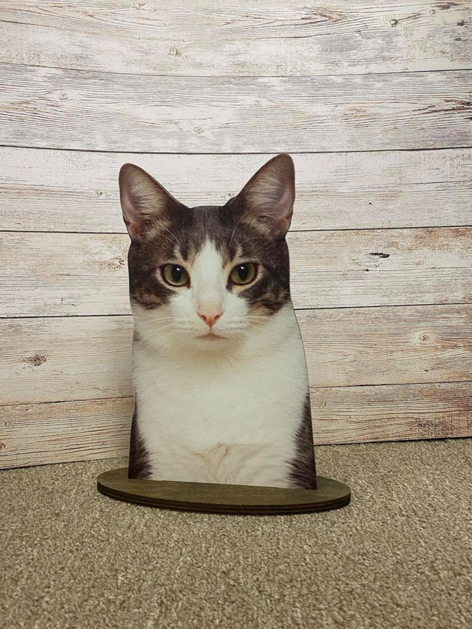 Cat Display Model Cat,feline, Cat Mannequin, Cat Display,kitten, Cat Accessory Display ...
