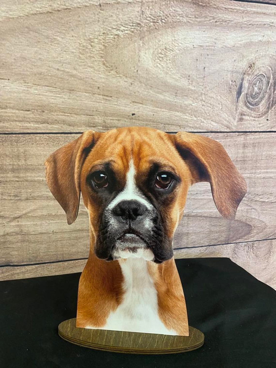 Boxer, Boxer Display, Boxer Head Display, Dog Collar Display,dog ...