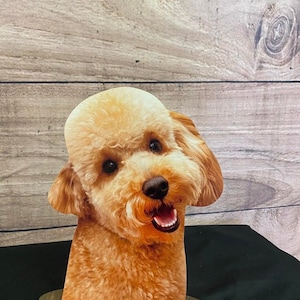 Golden Doodle Display, Golden Doodle, Labradoodle, Labradoodle head display, Dog Collar Display,Dog accessory display,Dog Bandana Display