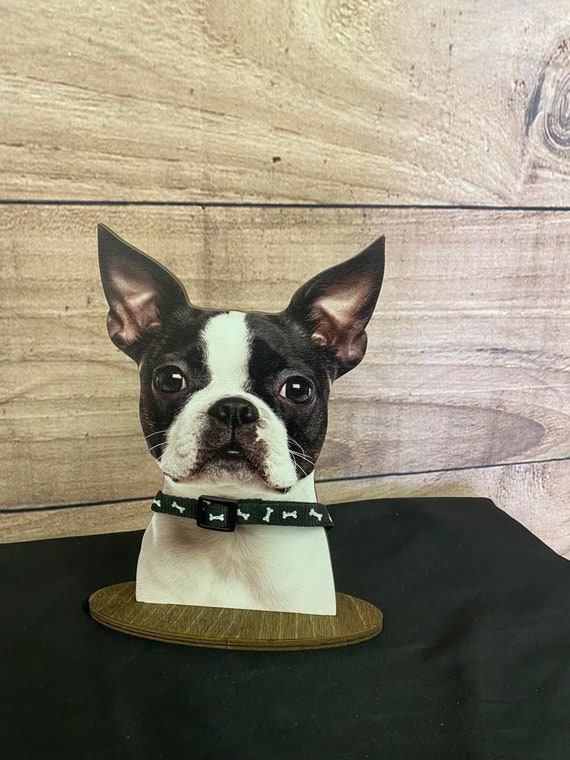 Pet supplies 2025 for boston terriers