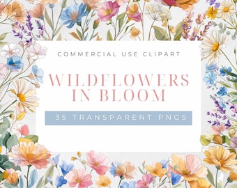 Paquete de imágenes prediseñadas de flores silvestres dibujadas a mano, PNG floral en acuarela, imágenes prediseñadas para bodas de primavera estilo boho, pegatinas para álbumes de recortes y diarios creativos (descarga digital)