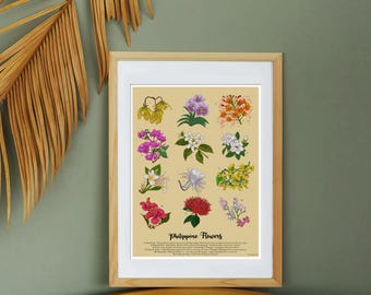 Philippine Flowers 9x12 Art Print