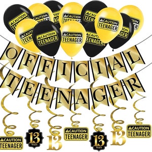 Funny Official Teenager 13th Birthday Party Pack - Gold & Black 13th Birthday Party Supplies, Decorations and Favors