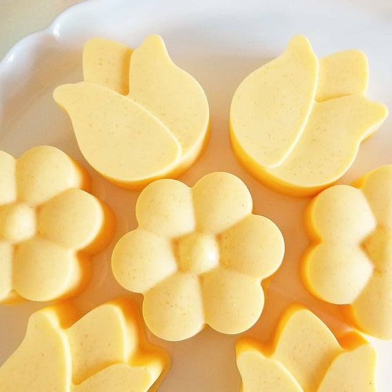 Satsuma Sea Salt Bars/ Handmade Soap/ Cold Processed Soap