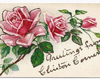 Old Vintage Postcard, Pink Roses, Flowers, Greetings, Clinton Corners, New York