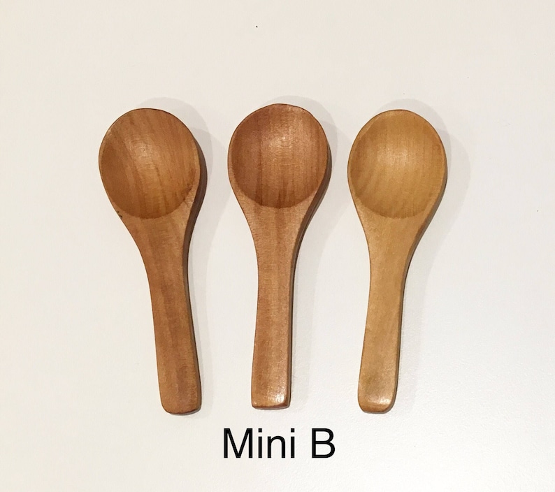 10 Pièces Petites Cuillères En Bois, Cuillère à épices, Mini