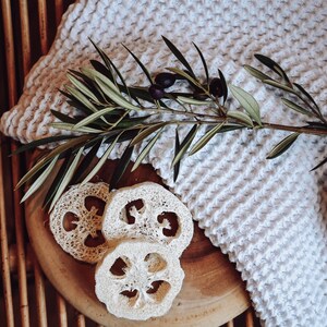 Exfoliating Loofah sponge skin polishing vegan organic skincare scrubbing sponge bath sustainable soap solid shampoo tray