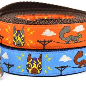 Lucha Squirrel Dog Leash - Orange & Light Blue