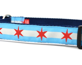 Collar de perro Martingale con la bandera de Chicago