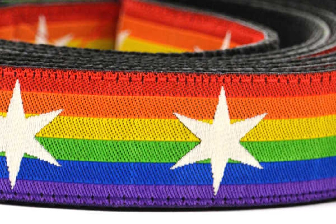 Rainbow Pride Flag Dog Leash Etsy