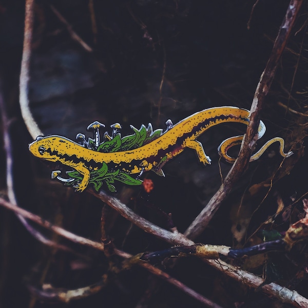 Salamander Lapel Pin / Artist Series Pin by Logan Schmitt / Lizard Mushroom Botanical Mycology agaric Amanita muscari Gift