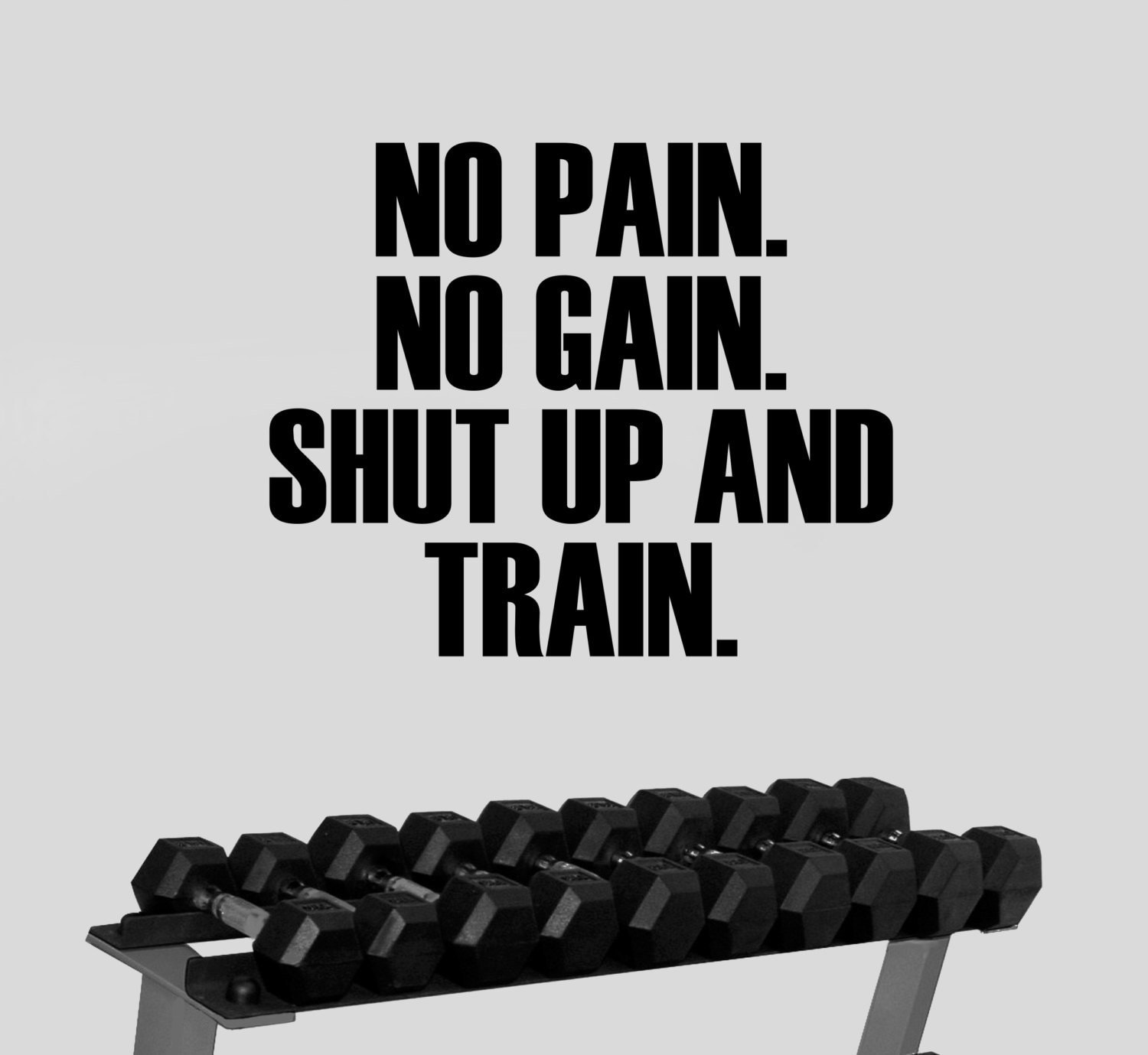 No Pain No Gain Gym Motivational Quote Wall Decal Crossfit | Etsy
