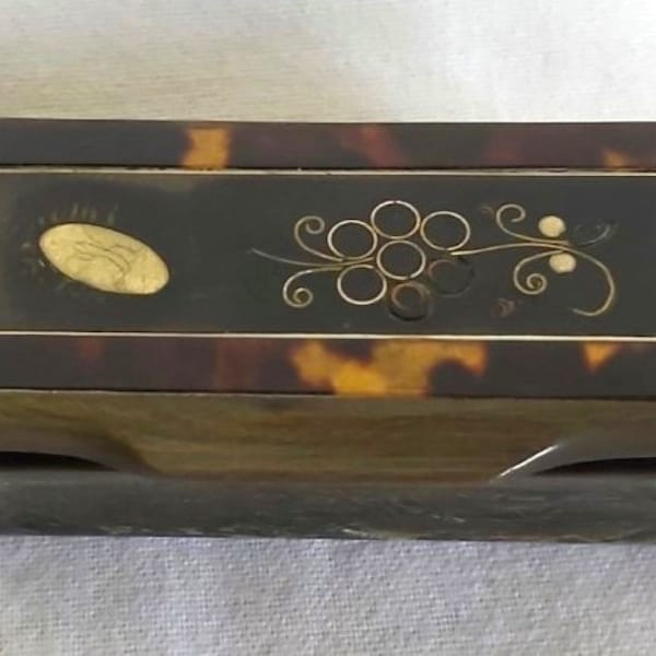 Antique small box turtle