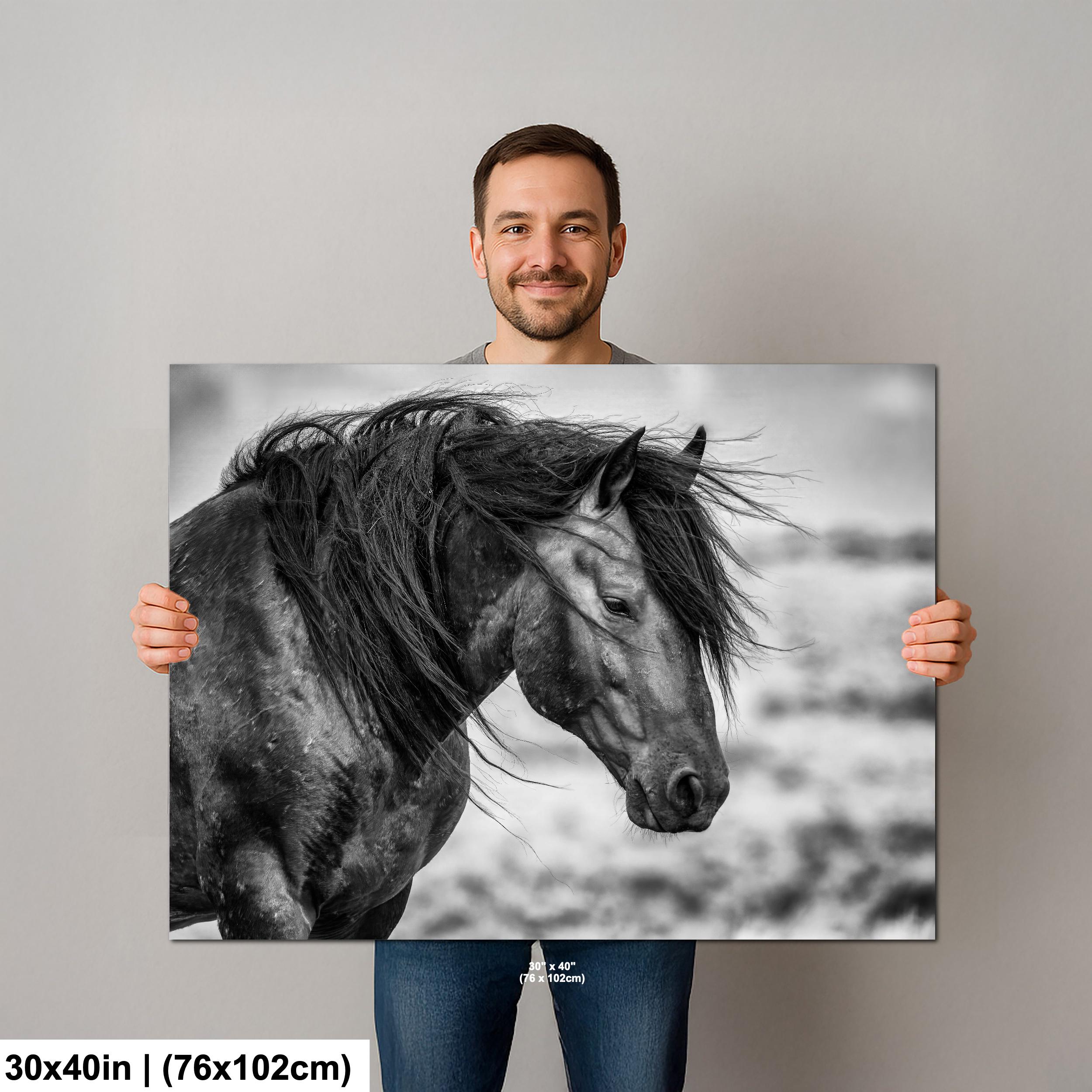 Wild Mustang Black and White Photo Print: Wyoming Western Decor - Etsy