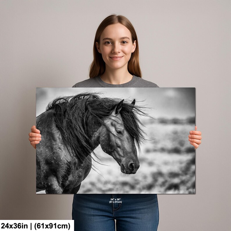 Wild Mustang Black and White Photo Print: Wyoming Western Decor - Etsy