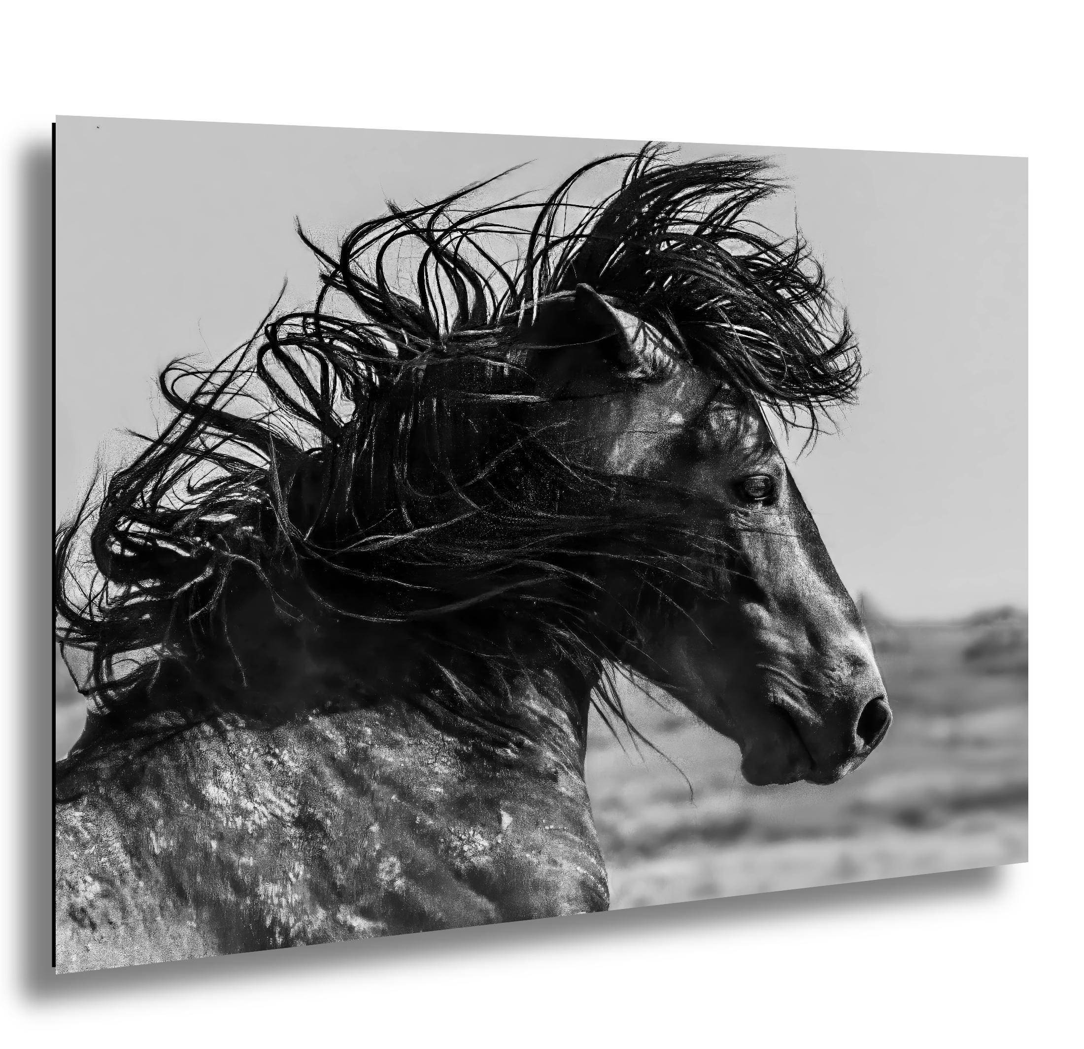 Windswept Mustang – Black and White Wild Horse Photography Print ...