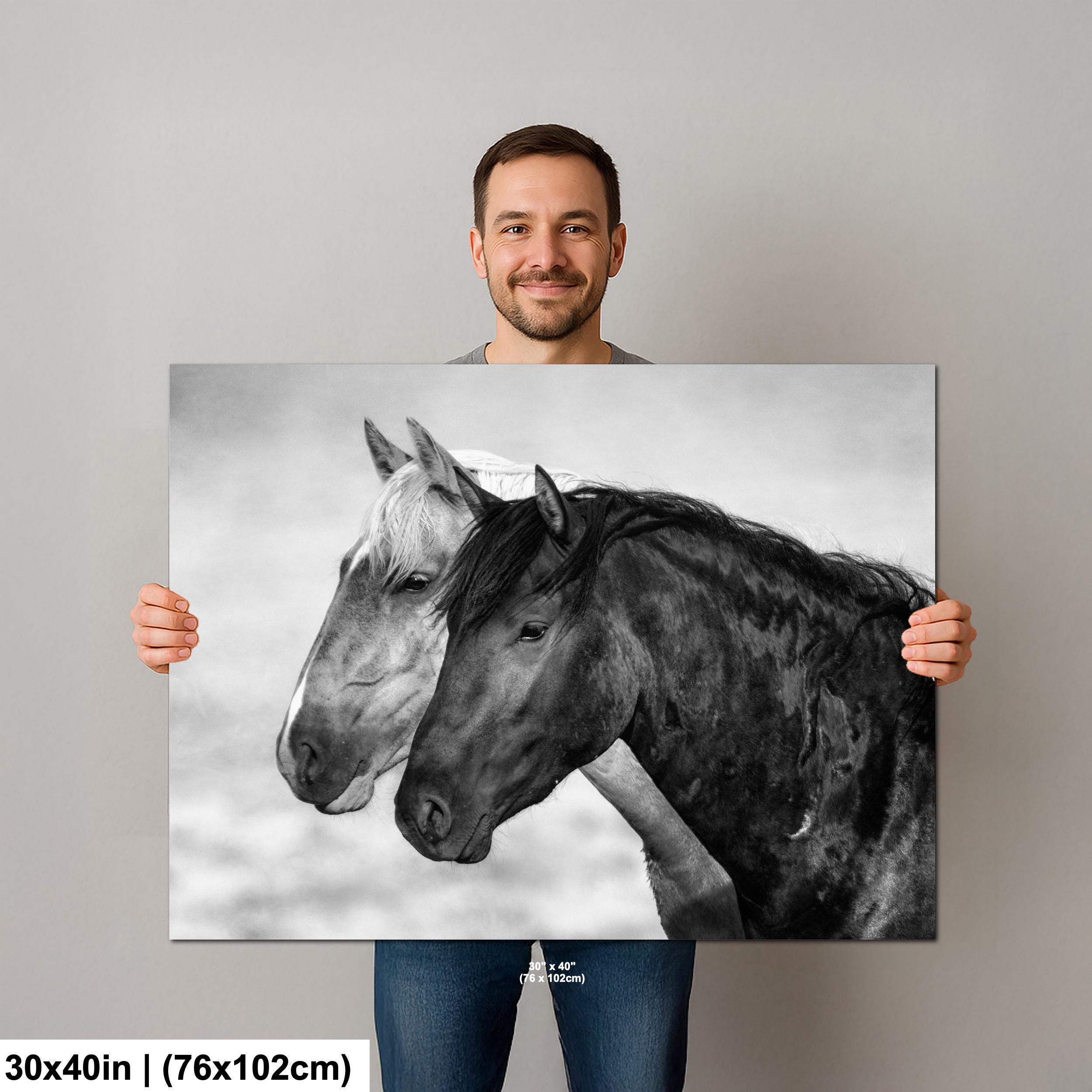 Wild Mustang Black and White Photo Print: Mccullough Peaks Wyoming - Etsy