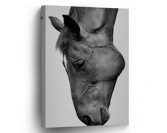 Horse Lover Gift Decor Canvas Print Horse Gift Photo Photography Room Wall Art Home Decor Artwork Prints Stretched Framed-Ready To Hang