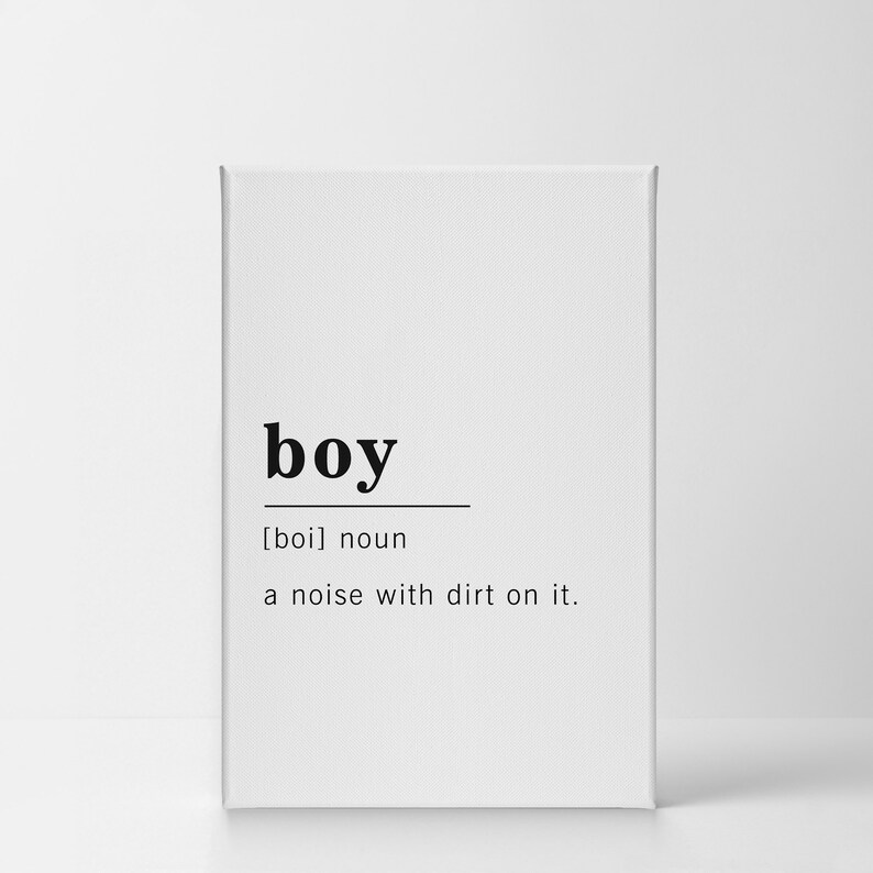 Funny Noun Dictionary Definition of Boy Canvas Print Etsy