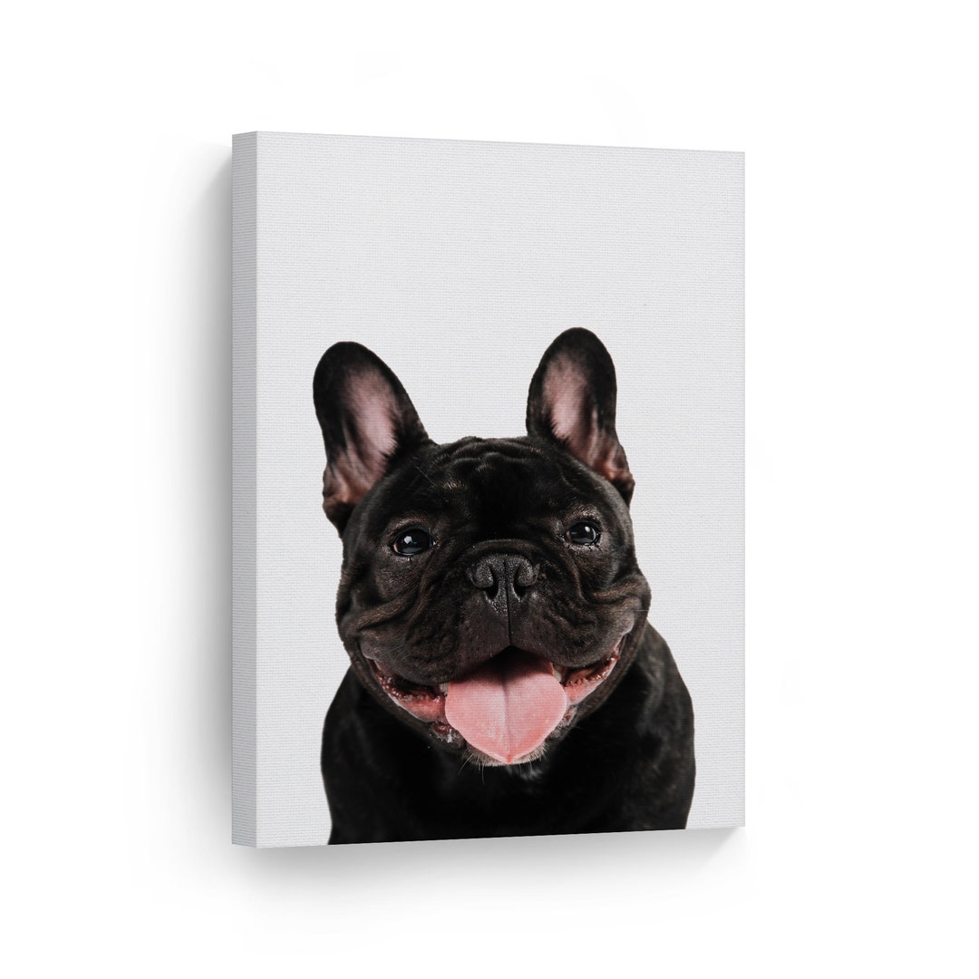 Cute Black French Bulldog With Tongue Animal Canvas Wall Art - Etsy