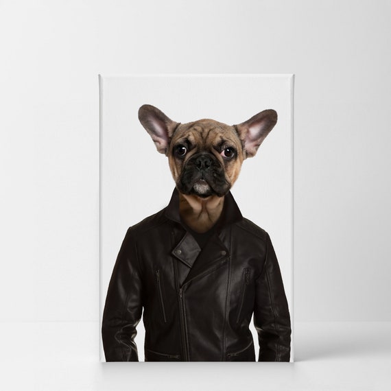 frenchie leather jacket